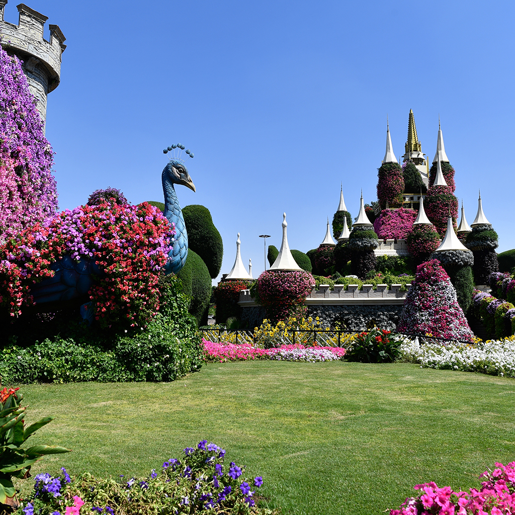 Dubai miracle garden